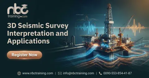 3D Seismic Survey Interpretation and Applications