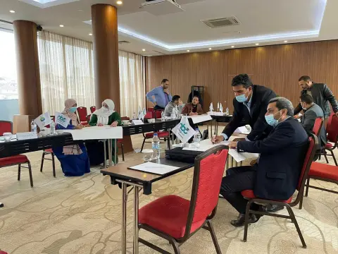 International accounting standards in the public sector