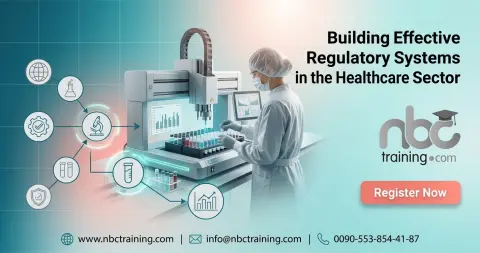 Building Effective Regulatory Systems in the Healthcare Sector